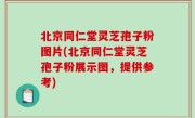 北京同仁堂灵芝孢子粉图片(北京同仁堂灵芝孢子粉展示图，提供参考)