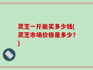 灵芝一斤能买多少钱(灵芝市场价格是多少？)