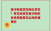 孢子粉紫灵芝和红灵芝？灵芝和灵芝孢子粉的关系到底是怎么样的谁更好