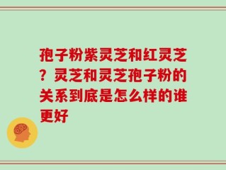 孢子粉紫灵芝和红灵芝？灵芝和灵芝孢子粉的关系到底是怎么样的谁更好