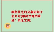 雕刻灵芝的文案短句子怎么写(雕刻生命的奇迹：灵芝之美)