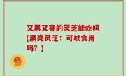 又黑又亮的灵芝能吃吗(黑亮灵芝：可以食用吗？)