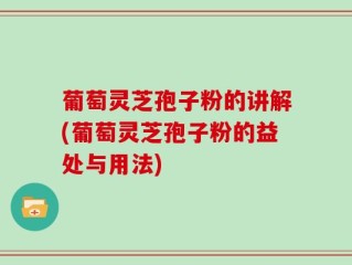葡萄灵芝孢子粉的讲解(葡萄灵芝孢子粉的益处与用法)