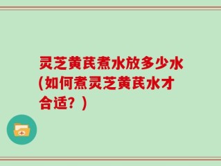 灵芝黄芪煮水放多少水(如何煮灵芝黄芪水才合适？)