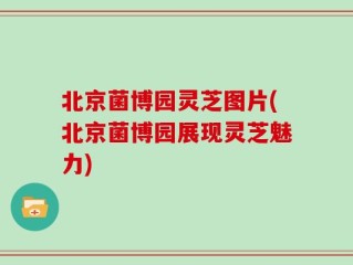 北京菌博园灵芝图片(北京菌博园展现灵芝魅力)