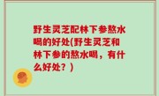 野生灵芝配林下参熬水喝的好处(野生灵芝和林下参的熬水喝，有什么好处？)