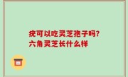 疣可以吃灵芝孢子吗？六角灵芝长什么样
