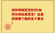 切开辨别灵芝好坏(如何分辨优质灵芝？这是你需要了解的五个要点)