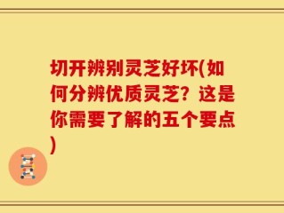 切开辨别灵芝好坏(如何分辨优质灵芝？这是你需要了解的五个要点)