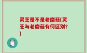 灵芝是不是老磨菇(灵芝与老磨菇有何区别？)