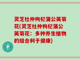 灵芝杜仲枸杞蒲公英菊花(灵芝杜仲枸杞蒲公英菊花：多种养生植物的组合利于健康)