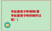 羊肚菌孢子粉视频(看羊肚菌孢子粉的制作过程！)