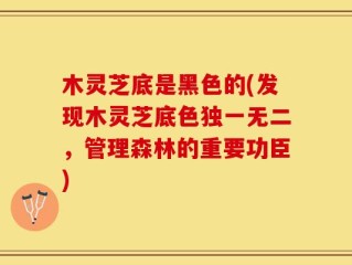 木灵芝底是黑色的(发现木灵芝底色独一无二，管理森林的重要功臣)