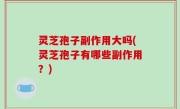 灵芝孢子副作用大吗(灵芝孢子有哪些副作用？)