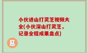 小伙进山打灵芝视频大全(小伙深山打灵芝，记录全程成果盘点)