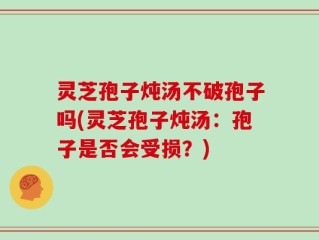 灵芝孢子炖汤不破孢子吗(灵芝孢子炖汤：孢子是否会受损？)