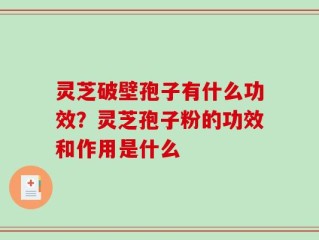 灵芝破壁孢子有什么功效？灵芝孢子粉的功效和作用是什么