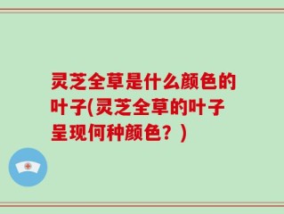 灵芝全草是什么颜色的叶子(灵芝全草的叶子呈现何种颜色？)