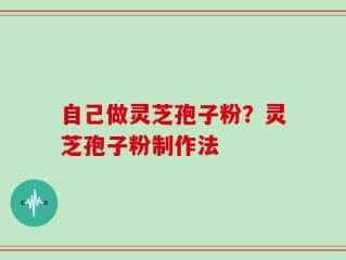 自己做灵芝孢子粉？灵芝孢子粉制作法