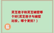 灵芝孢子和灵芝破壁哪个好(灵芝孢子与破壁比较，哪个更优？)