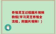 养殖灵芝过程图片视频教程(学习灵芝养殖全流程，附图片视频！)