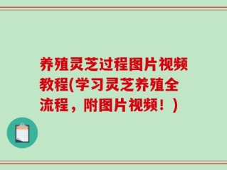 养殖灵芝过程图片视频教程(学习灵芝养殖全流程，附图片视频！)