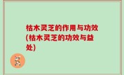枯木灵芝的作用与功效(枯木灵芝的功效与益处)