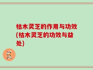 枯木灵芝的作用与功效(枯木灵芝的功效与益处)