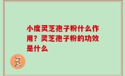 小度灵芝孢子粉什么作用？灵芝孢子粉的功效是什么