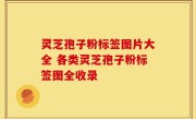 灵芝孢子粉标签图片大全 各类灵芝孢子粉标签图全收录