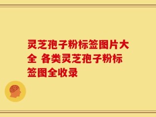 灵芝孢子粉标签图片大全 各类灵芝孢子粉标签图全收录