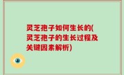 灵芝孢子如何生长的(灵芝孢子的生长过程及关键因素解析)