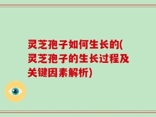 灵芝孢子如何生长的(灵芝孢子的生长过程及关键因素解析)
