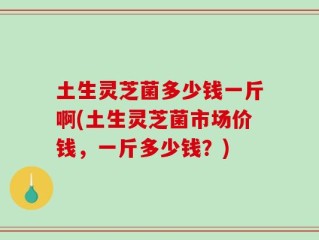 土生灵芝菌多少钱一斤啊(土生灵芝菌市场价钱，一斤多少钱？)