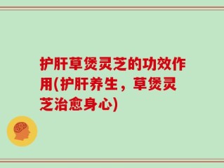 护肝草煲灵芝的功效作用(护肝养生，草煲灵芝治愈身心)