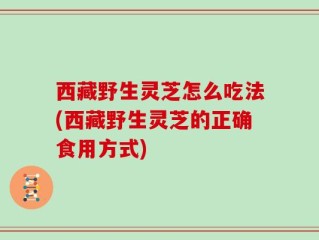 西藏野生灵芝怎么吃法(西藏野生灵芝的正确食用方式)