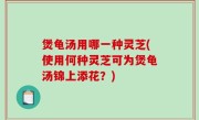 煲龟汤用哪一种灵芝(使用何种灵芝可为煲龟汤锦上添花？)