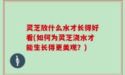 灵芝放什么水才长得好看(如何为灵芝浇水才能生长得更美观？)