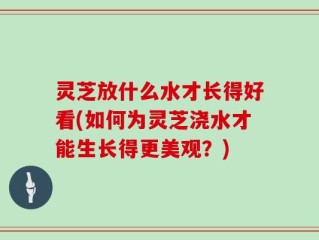 灵芝放什么水才长得好看(如何为灵芝浇水才能生长得更美观？)