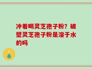 冲着喝灵芝孢子粉？破壁灵芝孢子粉是溶于水的吗