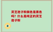 灵芝孢子粉颜色是黑色吗？什么是纯正的灵芝孢子粉