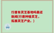 行唐有灵芝基地吗最近新闻(行唐种植灵芝，拓展灵芝产业。)