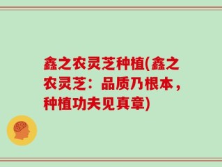 鑫之农灵芝种植(鑫之农灵芝：品质乃根本，种植功夫见真章)
