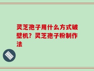 灵芝孢子用什么方式破壁机？灵芝孢子粉制作法