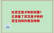 吃灵芝孢子粉的效果？已采集了灵芝孢子粉的灵芝功效作用怎样呢