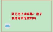 灵芝孢子油采集？孢子油是用灵芝做的吗