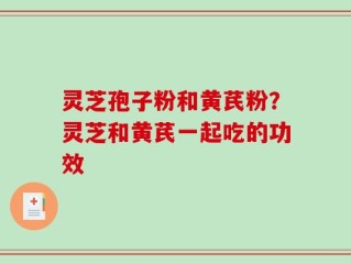 灵芝孢子粉和黄芪粉？灵芝和黄芪一起吃的功效
