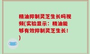精油抑制灵芝生长吗视频(实验显示：精油能够有效抑制灵芝生长！)