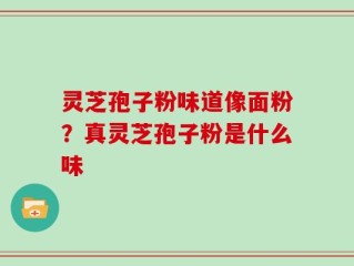 灵芝孢子粉味道像面粉？真灵芝孢子粉是什么味