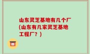 山东灵芝基地有几个厂(山东有几家灵芝基地工程厂？)